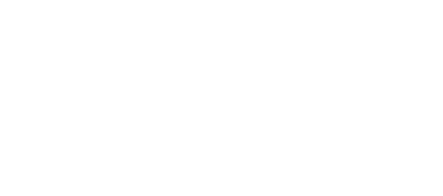 Flyin'eye Logo